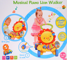 Load image into Gallery viewer, First Steps Baby Walker Sounds and Lights Fun Push Along Walker